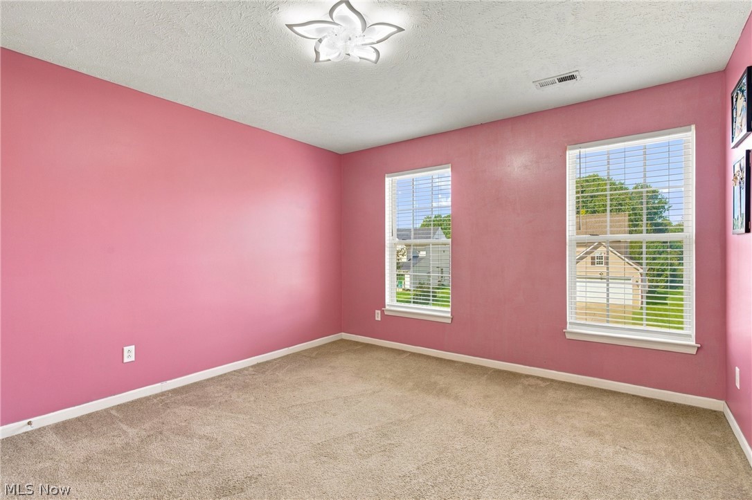 7372 Meadow Brooke Way Property Photo 43