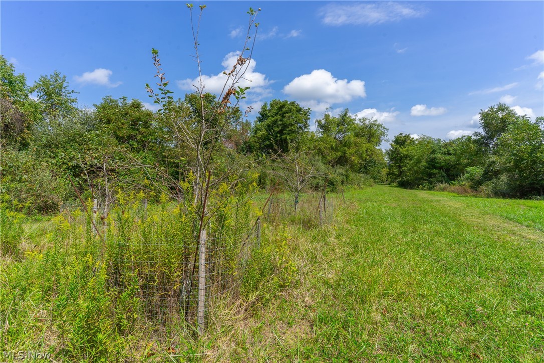 3930 Mcnally Road Property Photo 40