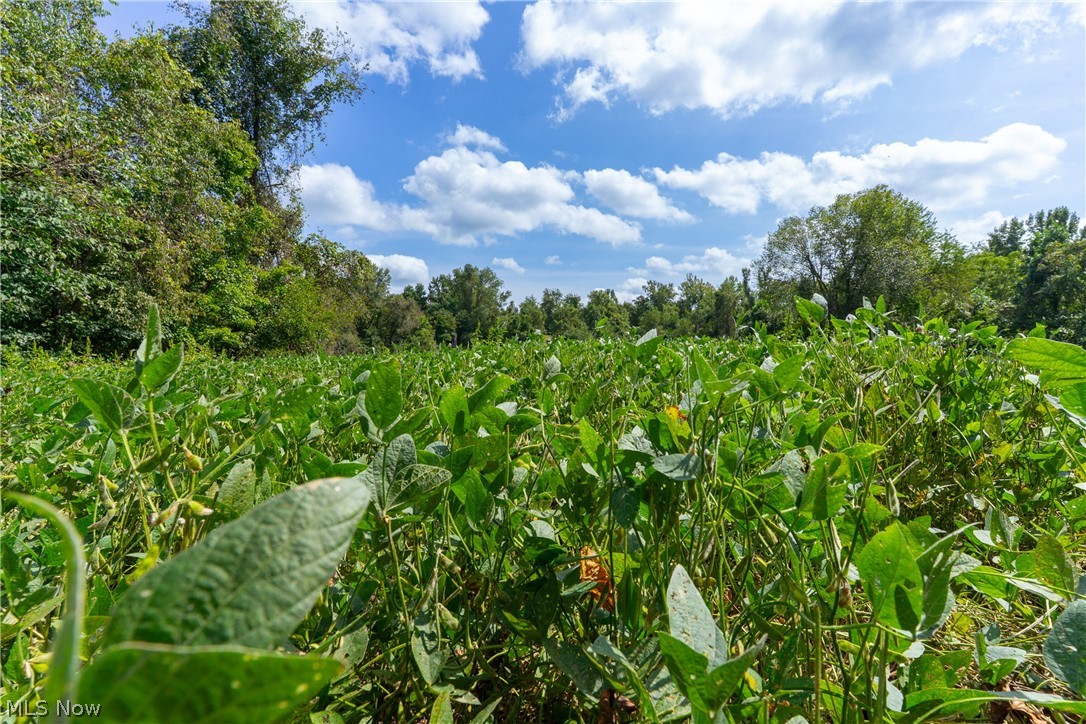 3930 Mcnally Road Property Photo 42