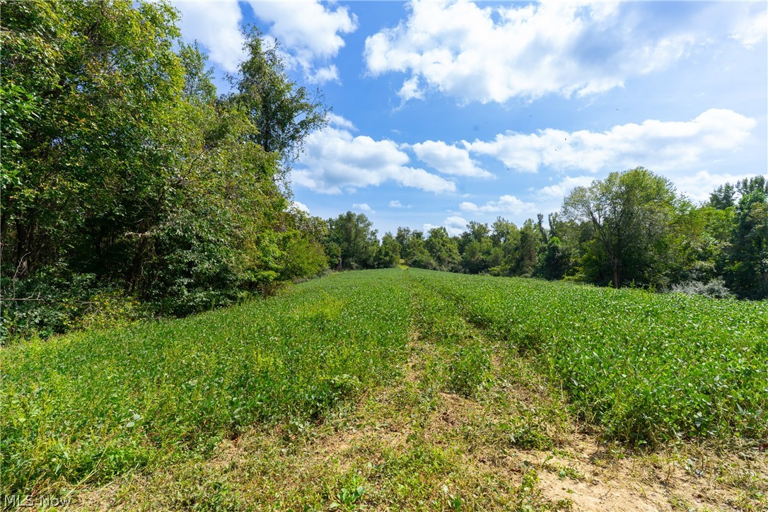 3930 Mcnally Road Property Photo 43