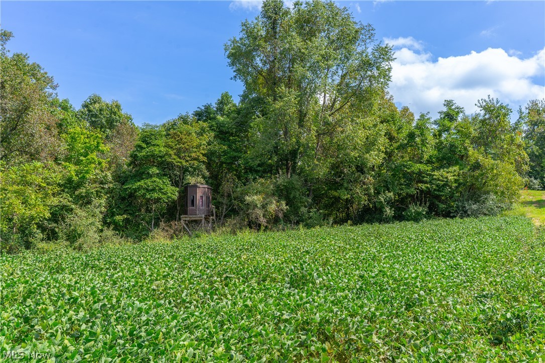 3930 Mcnally Road Property Photo 44