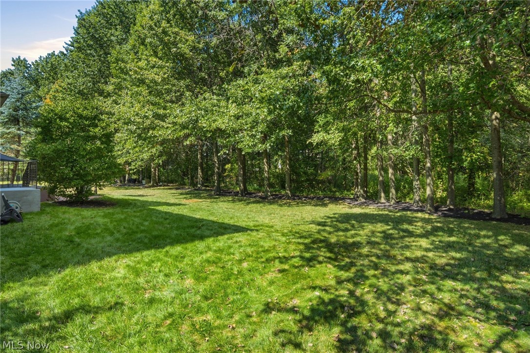 35098 Emory Drive Property Photo 40