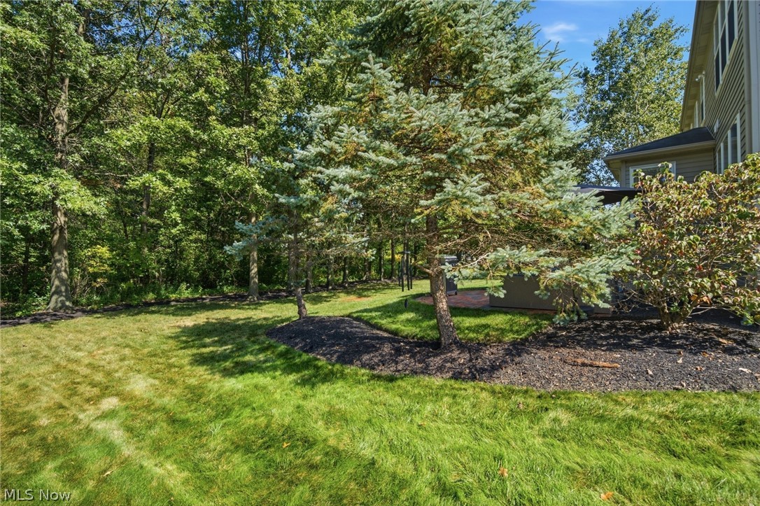 35098 Emory Drive Property Photo 41
