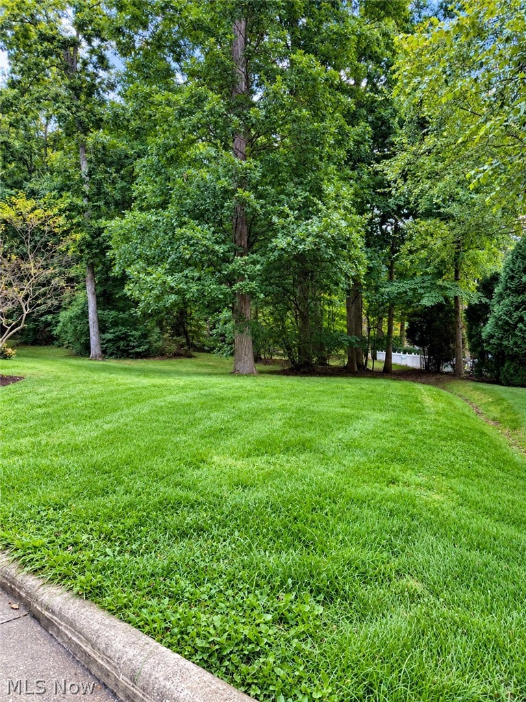 0 Hickory Hollow Road Nw Property Photo 1