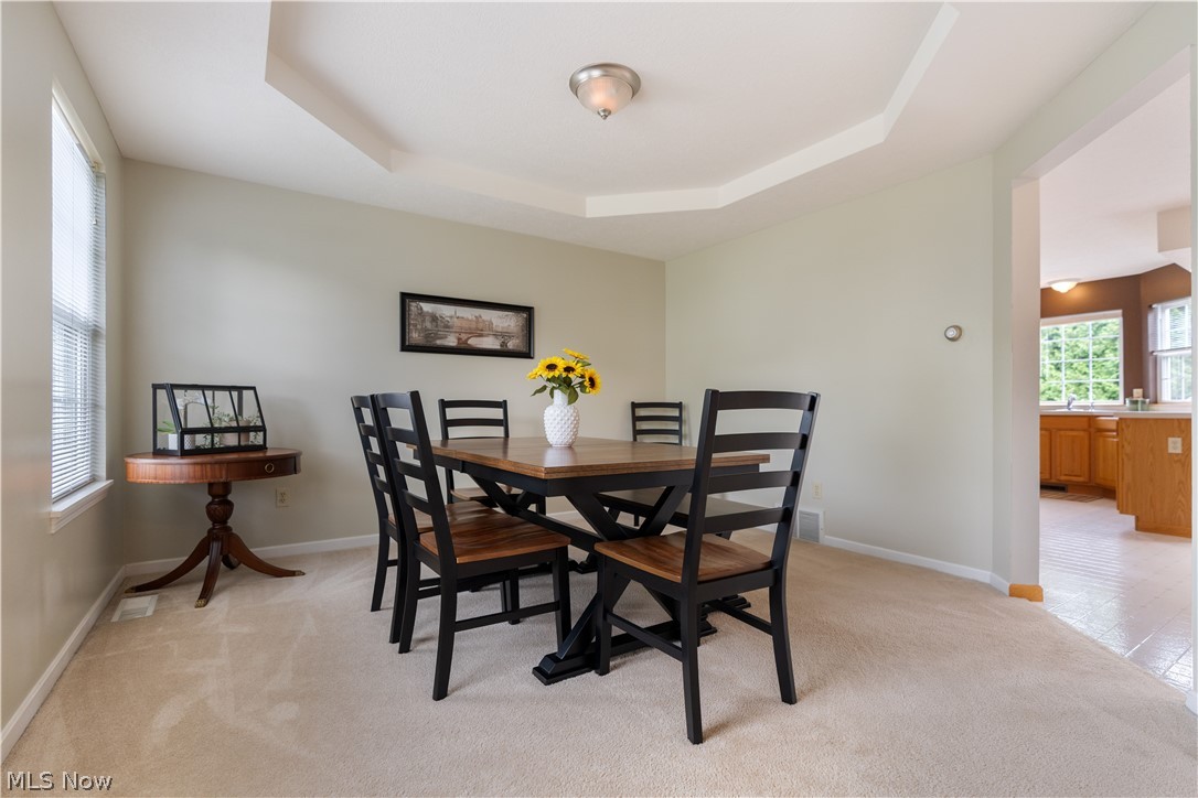 419 Treeview Drive Property Photo 5