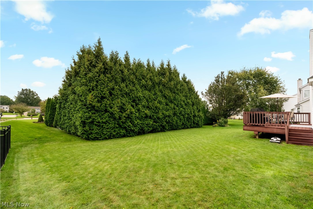419 Treeview Drive Property Photo 30
