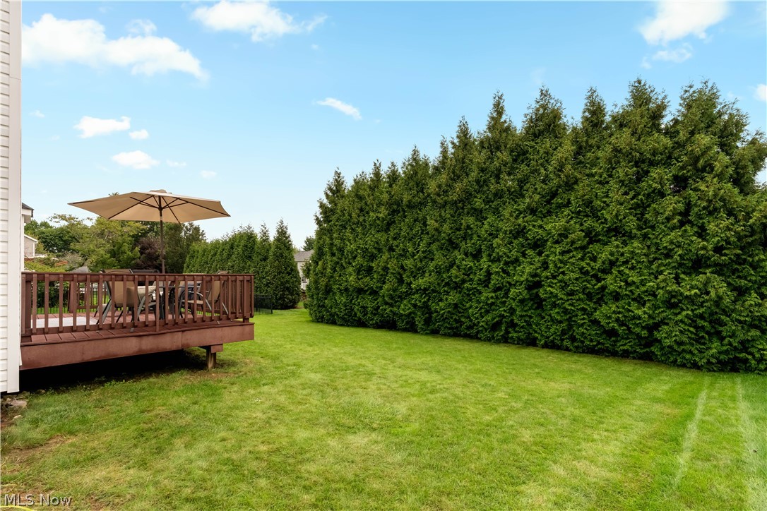 419 Treeview Drive Property Photo 31