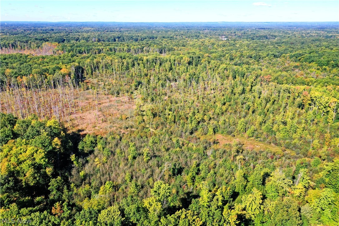 0 Durst Drive Property Photo 10