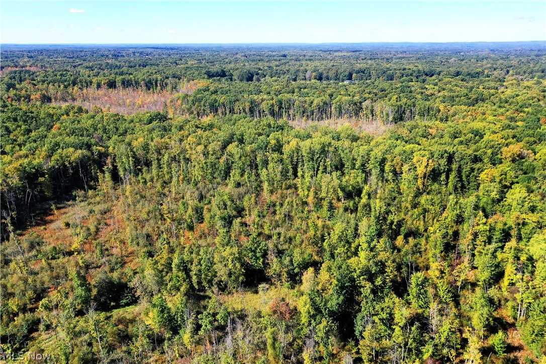 0 Durst Drive Property Photo 17