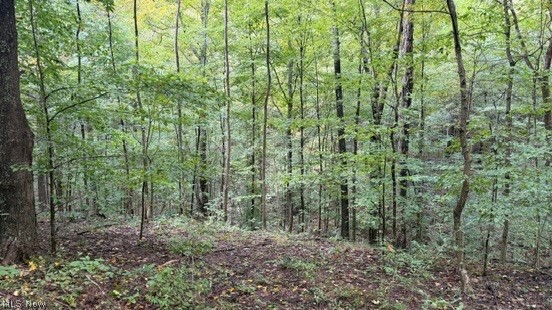 0 Township Rd. 65 Property Photo 25