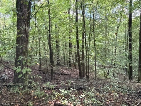0 Township Rd. 65 Property Photo 27