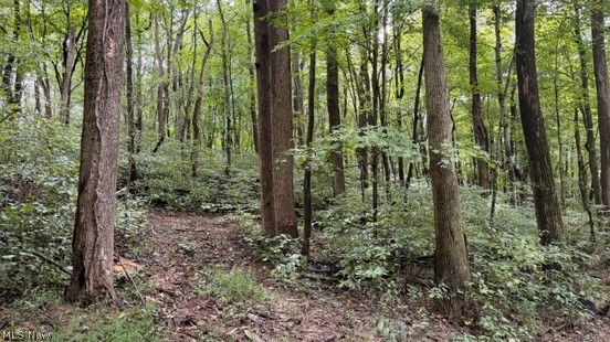 0 Township Rd. 65 Property Photo 28