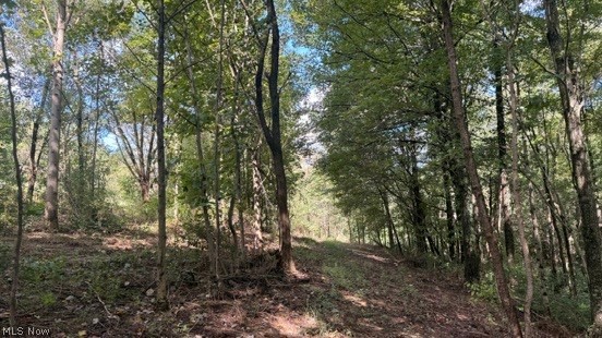 0 Township Rd. 65 Property Photo 31