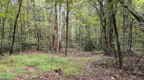 0 Township Rd. 65 Property Photo 44