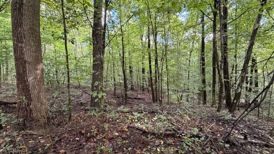 0 Township Rd. 65 Property Photo 50