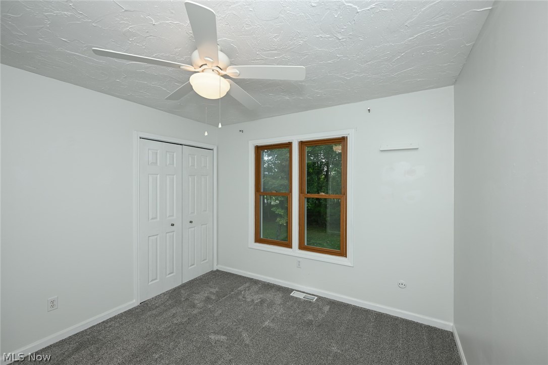 12945 Chamberlain Road Property Photo 15
