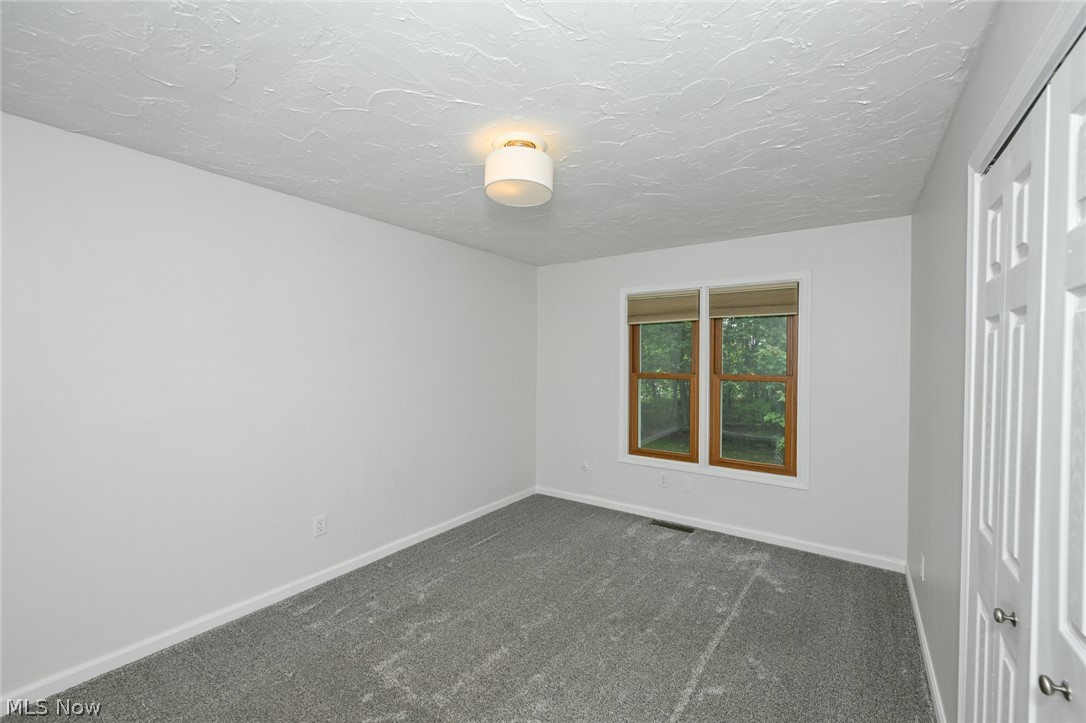 12945 Chamberlain Road Property Photo 20