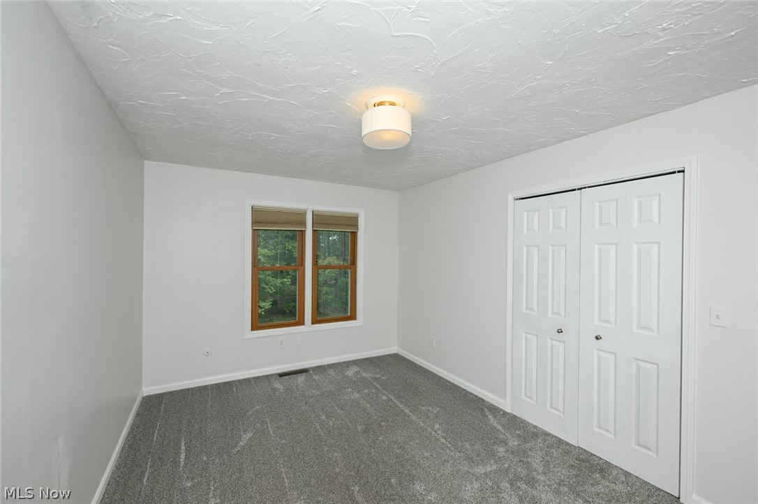 12945 Chamberlain Road Property Photo 21