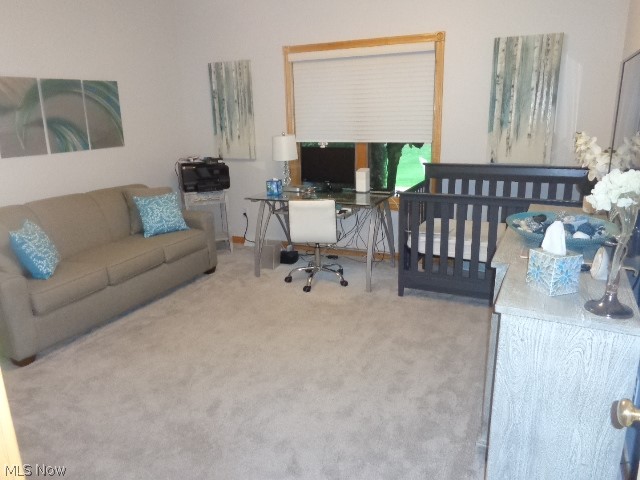 3062 Osage Way Property Photo 22