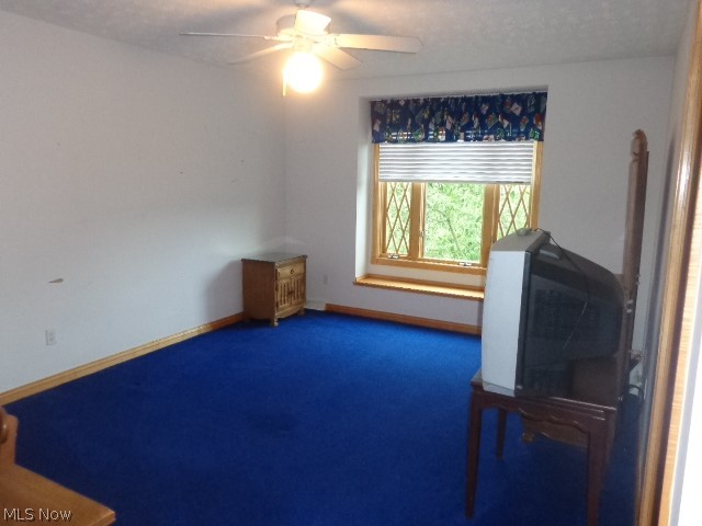3062 Osage Way Property Photo 34