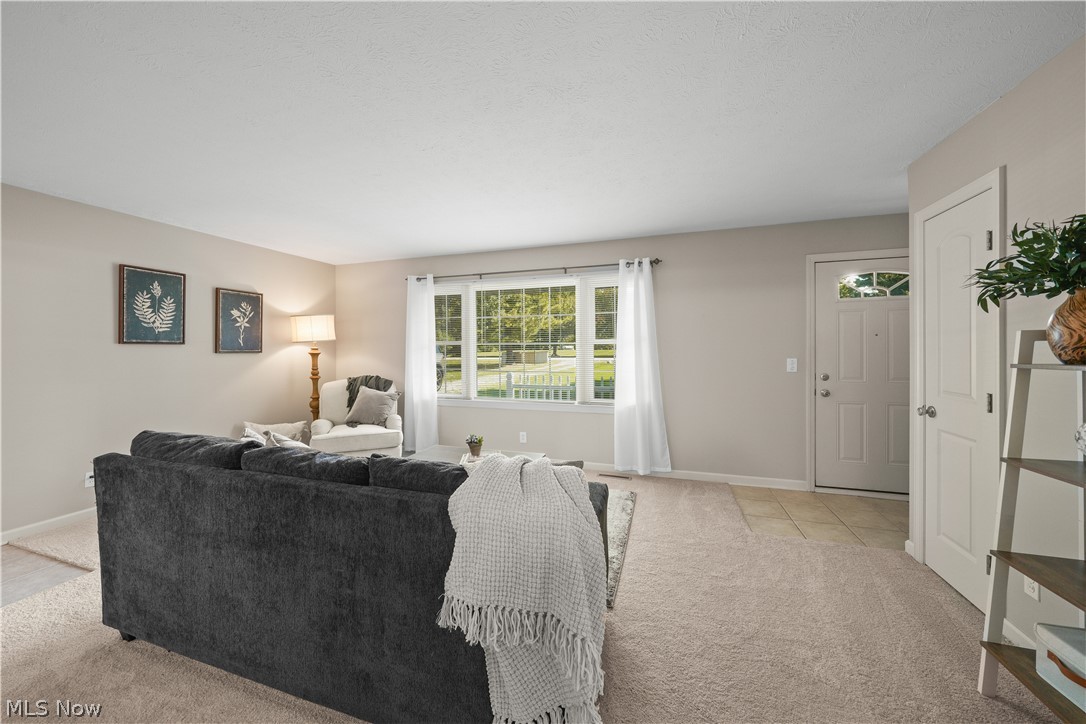 295 Cambridge Drive Property Photo 2