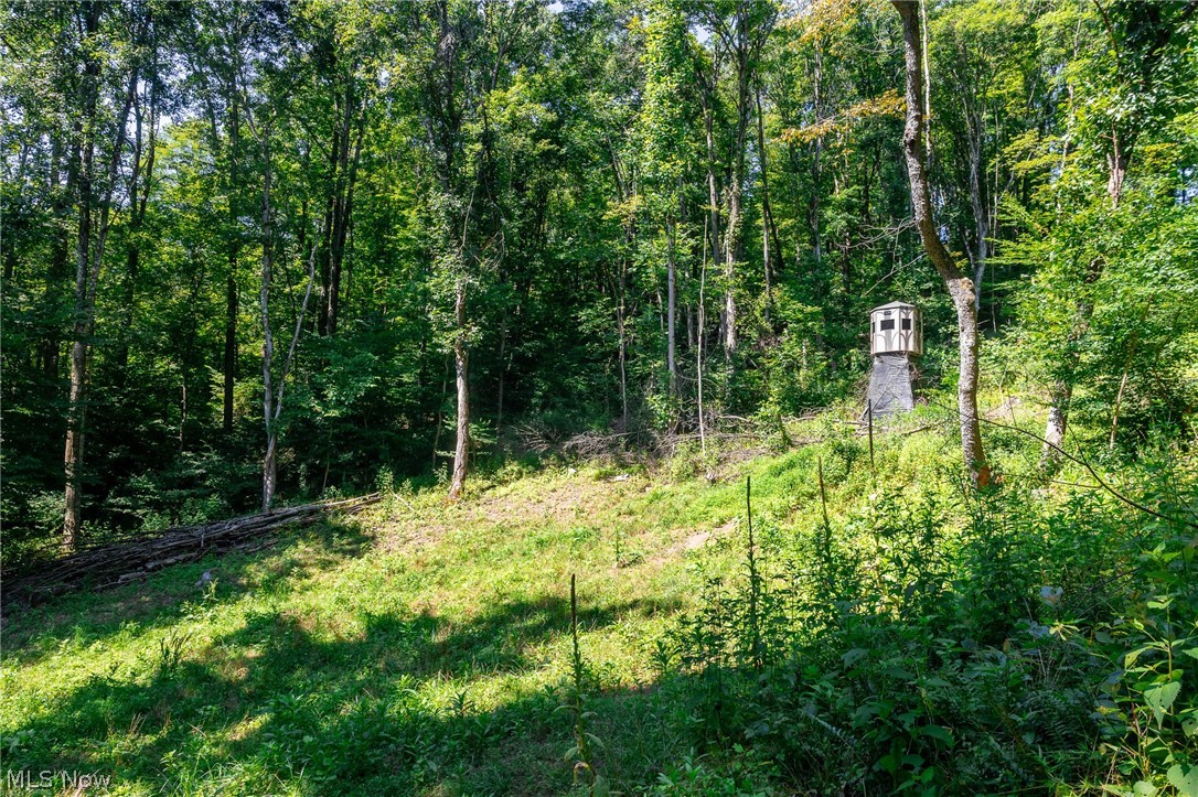 Kings Ridge Road Property Photo 10