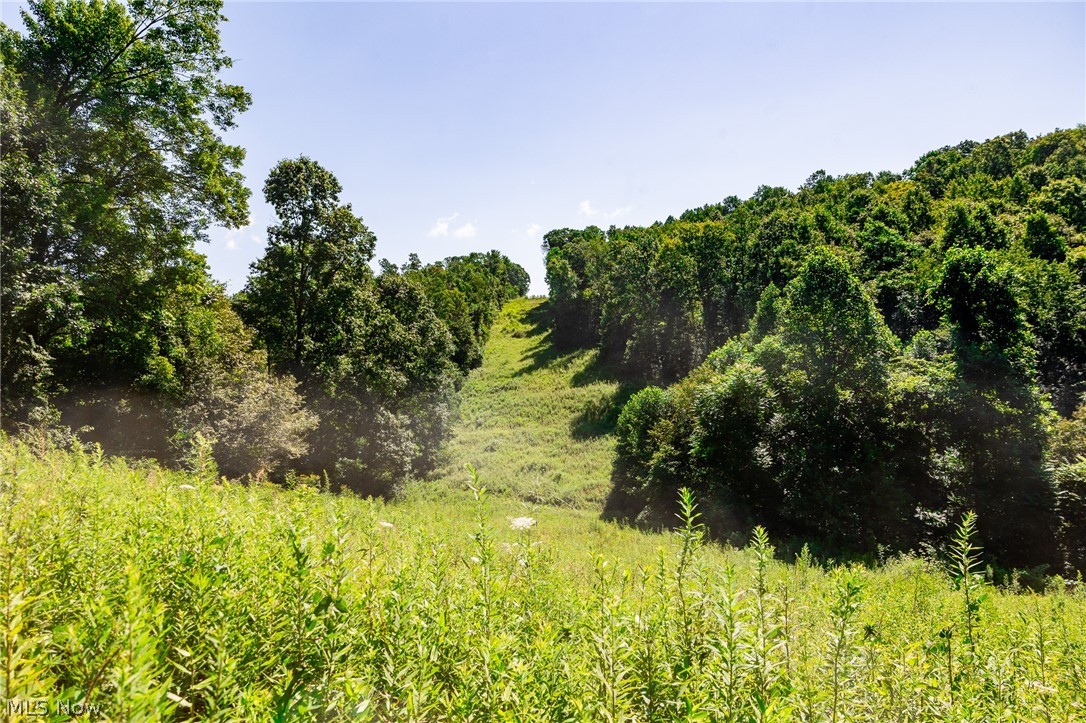 Kings Ridge Road Property Photo 14
