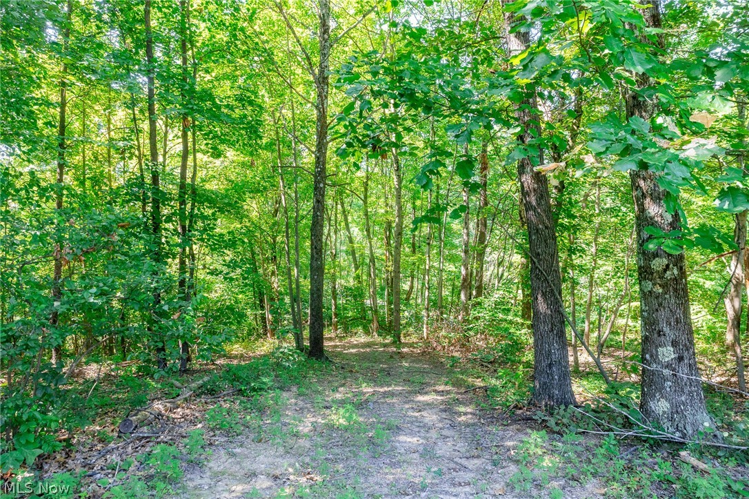 Kings Ridge Road Property Photo 15