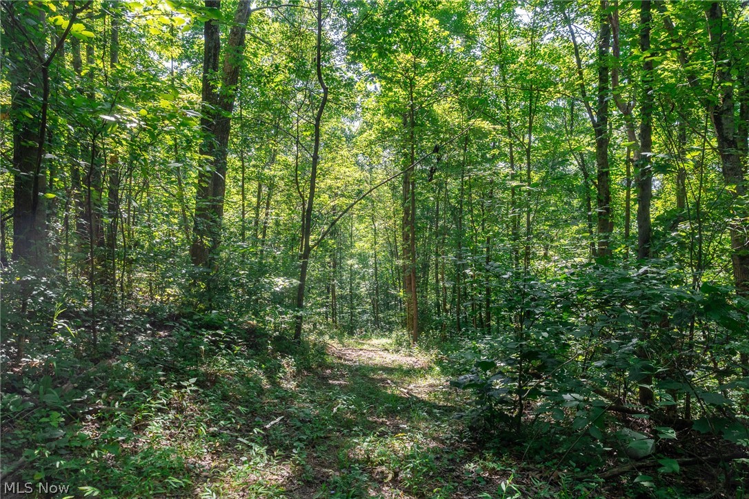 Kings Ridge Road Property Photo 17