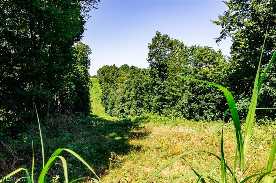 Kings Ridge Road Property Photo 32