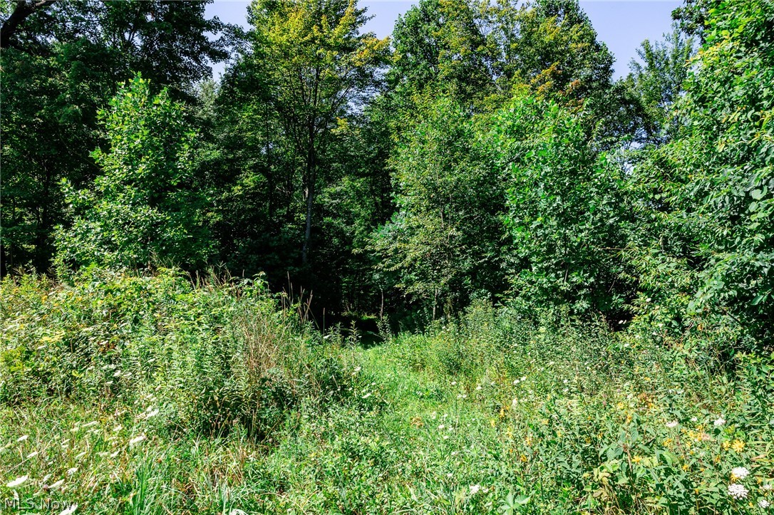 Kings Ridge Road Property Photo 33