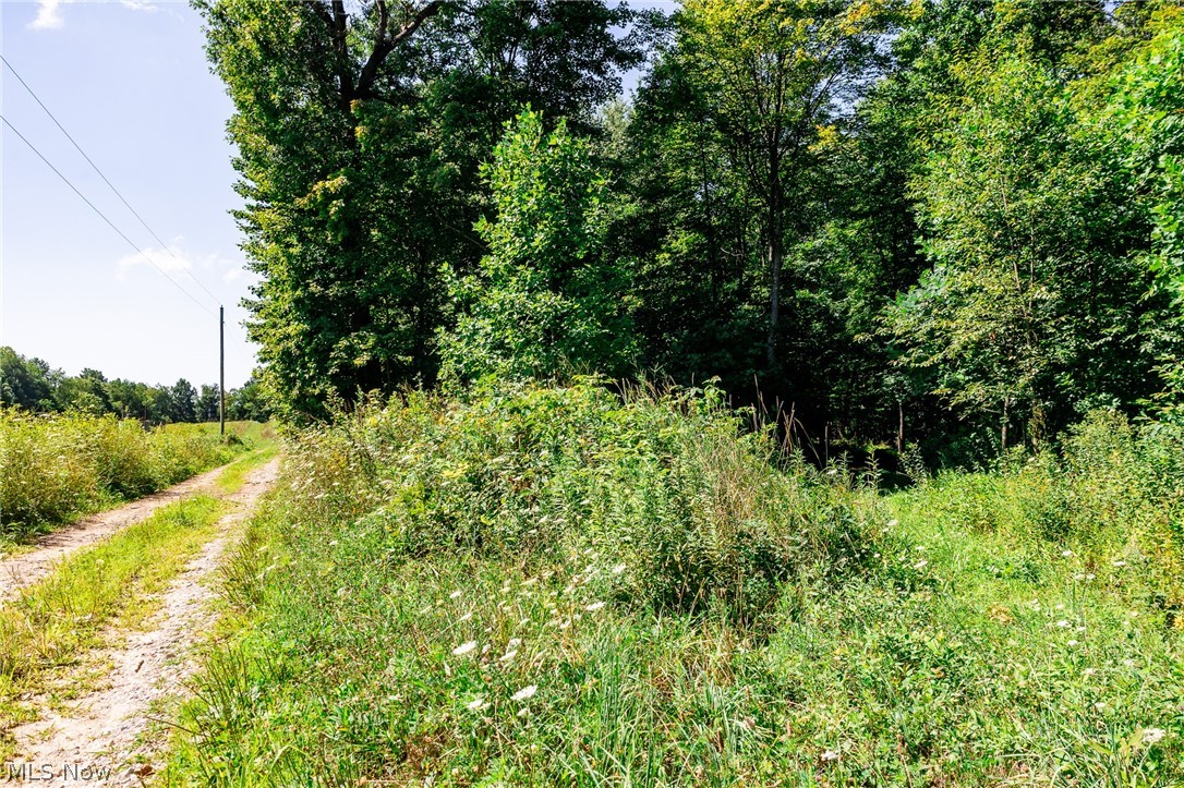 Kings Ridge Road Property Photo 34