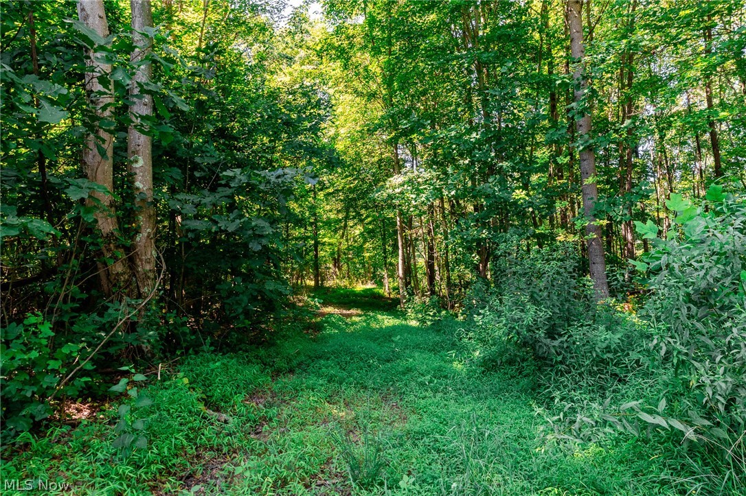Kings Ridge Road Property Photo 35