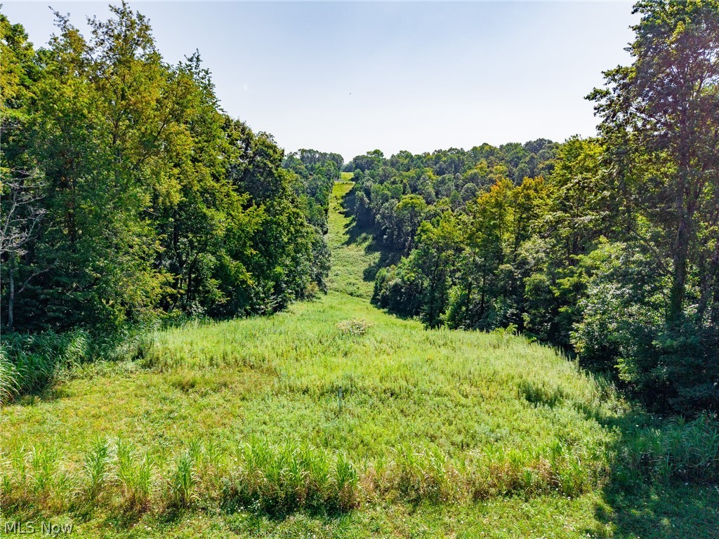 Kings Ridge Road Property Photo 38