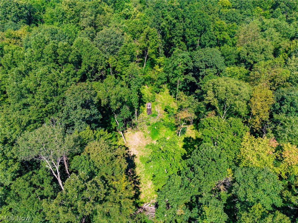 Kings Ridge Road Property Photo 41