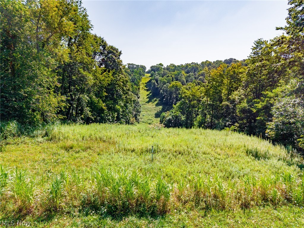 Kings Ridge Road Property Photo 45