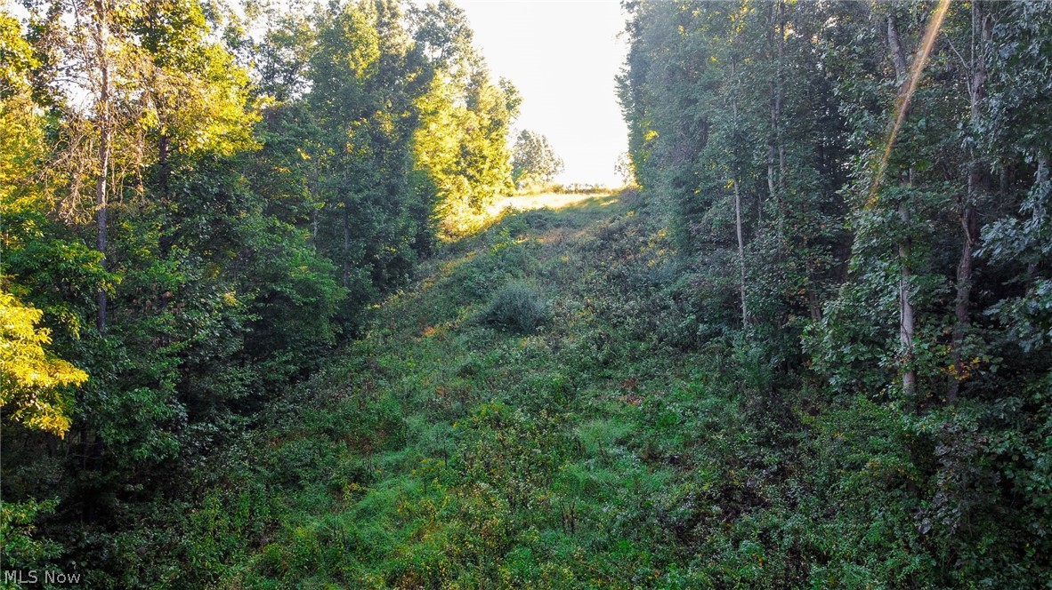 Kings Ridge Road Property Photo 49