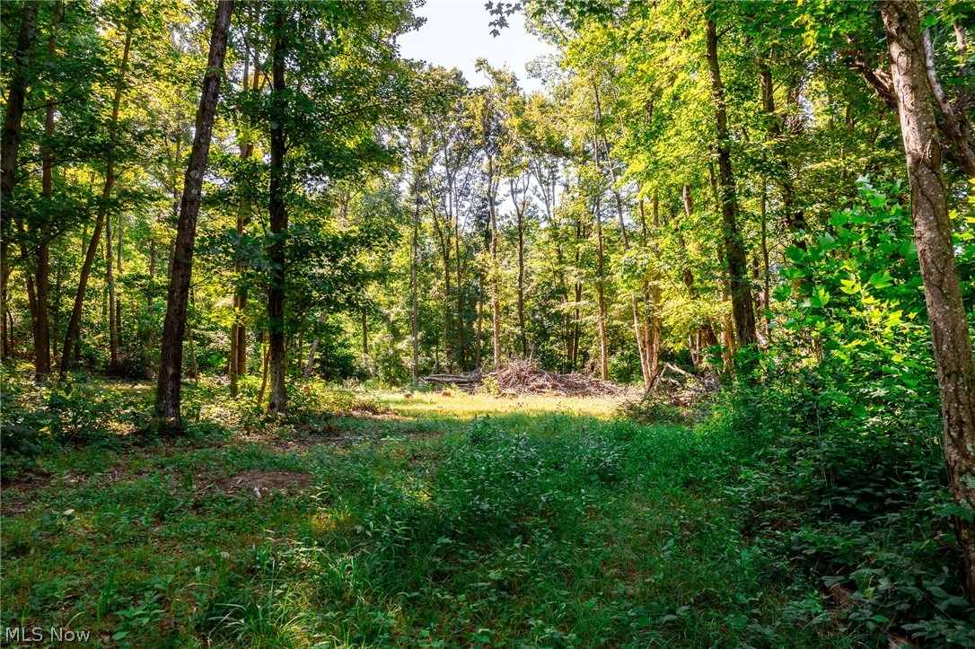 Kings Ridge Road Property Photo 10