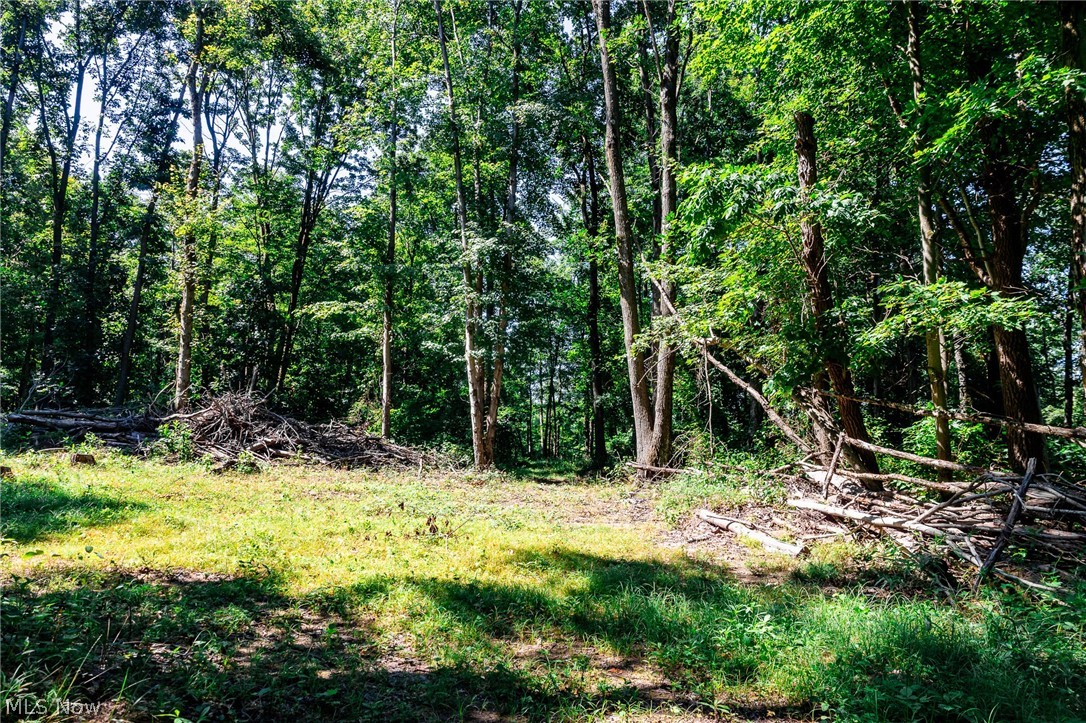 Kings Ridge Road Property Photo 11