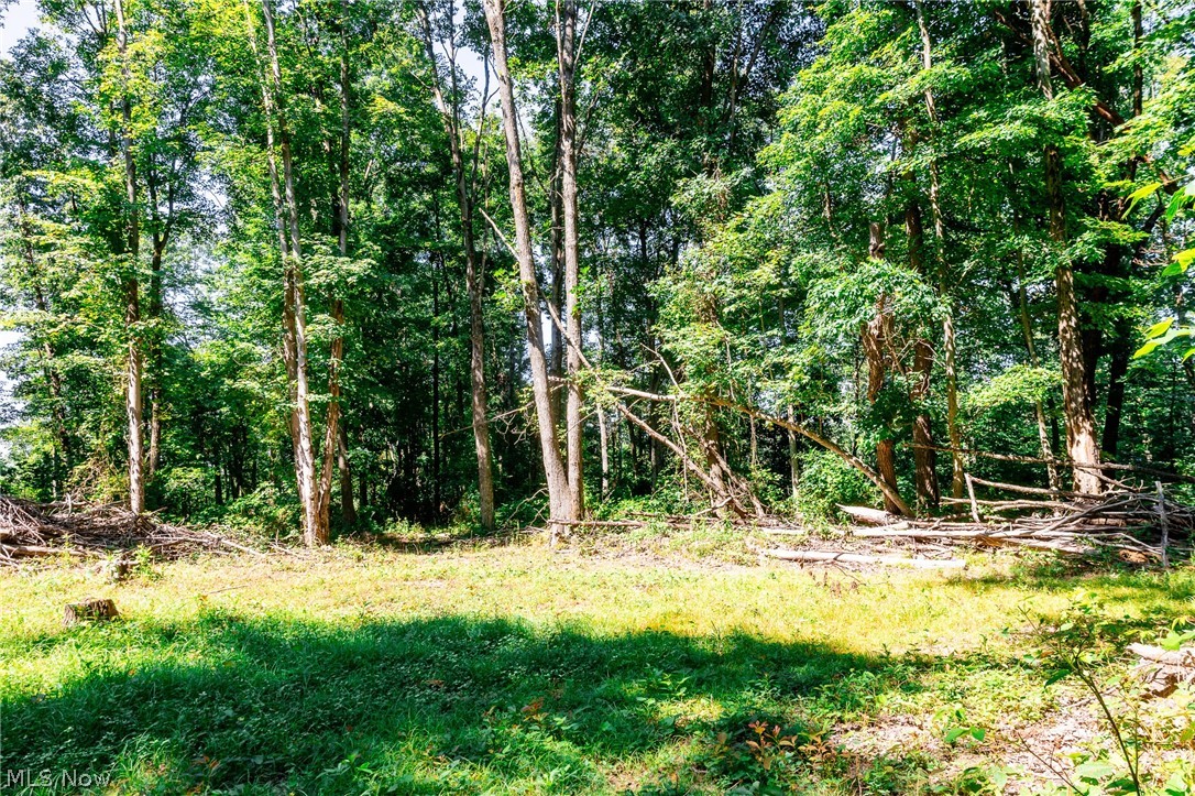 Kings Ridge Road Property Photo 13