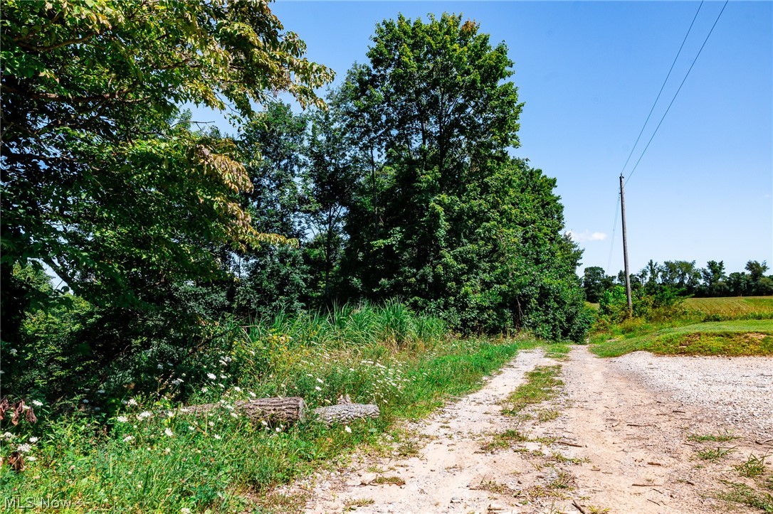 Kings Ridge Road Property Photo 18