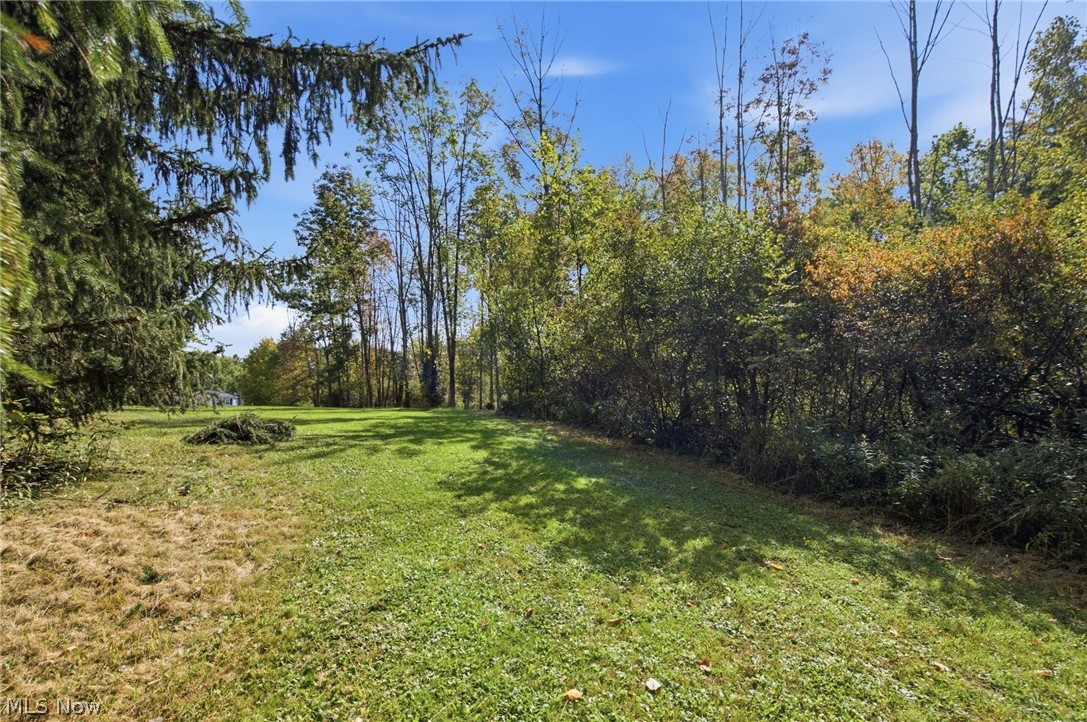 13774 Oak Tree Trail Property Photo 40