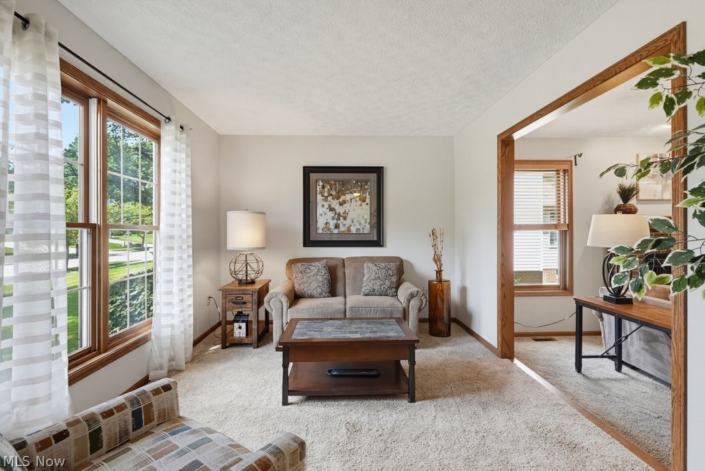 4183 Cheval Circle Property Photo 11
