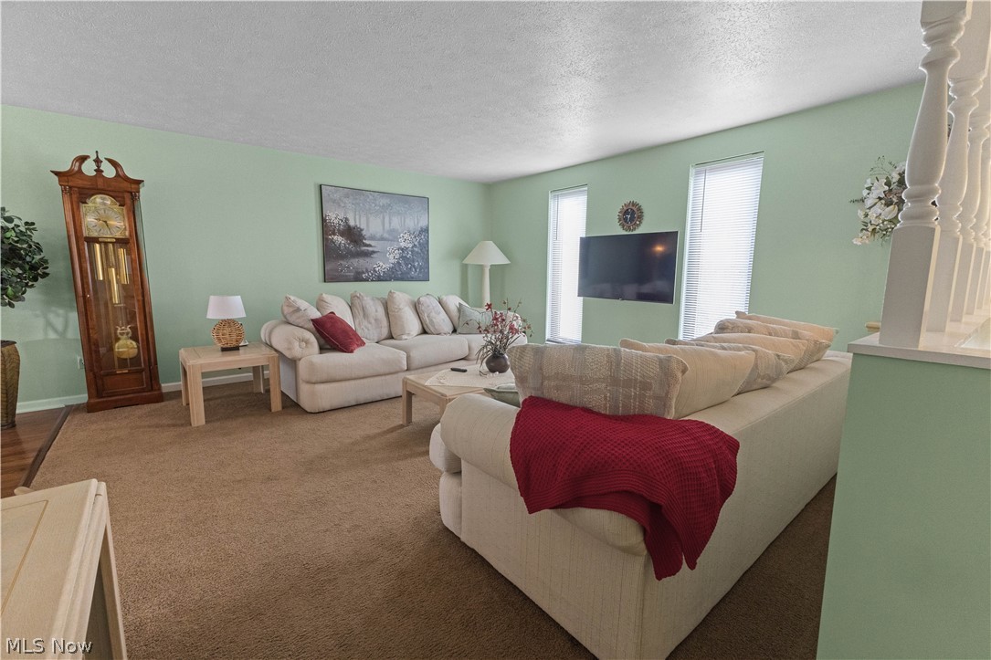 132 Tera Manor Property Photo 10