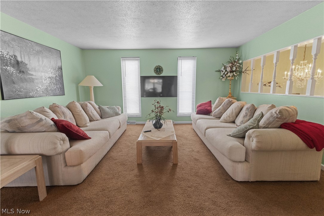 132 Tera Manor Property Photo 11