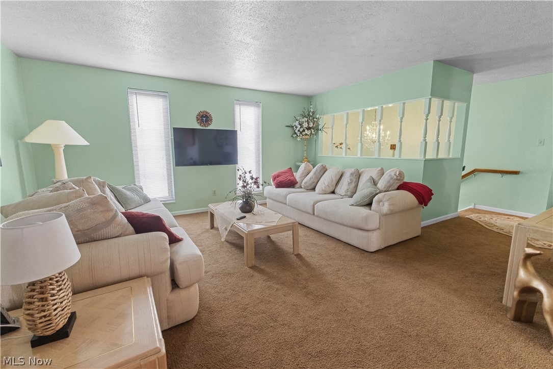 132 Tera Manor Property Photo 12