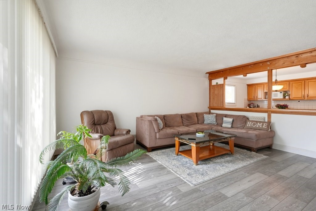 11052 Naomi Drive Property Photo 4