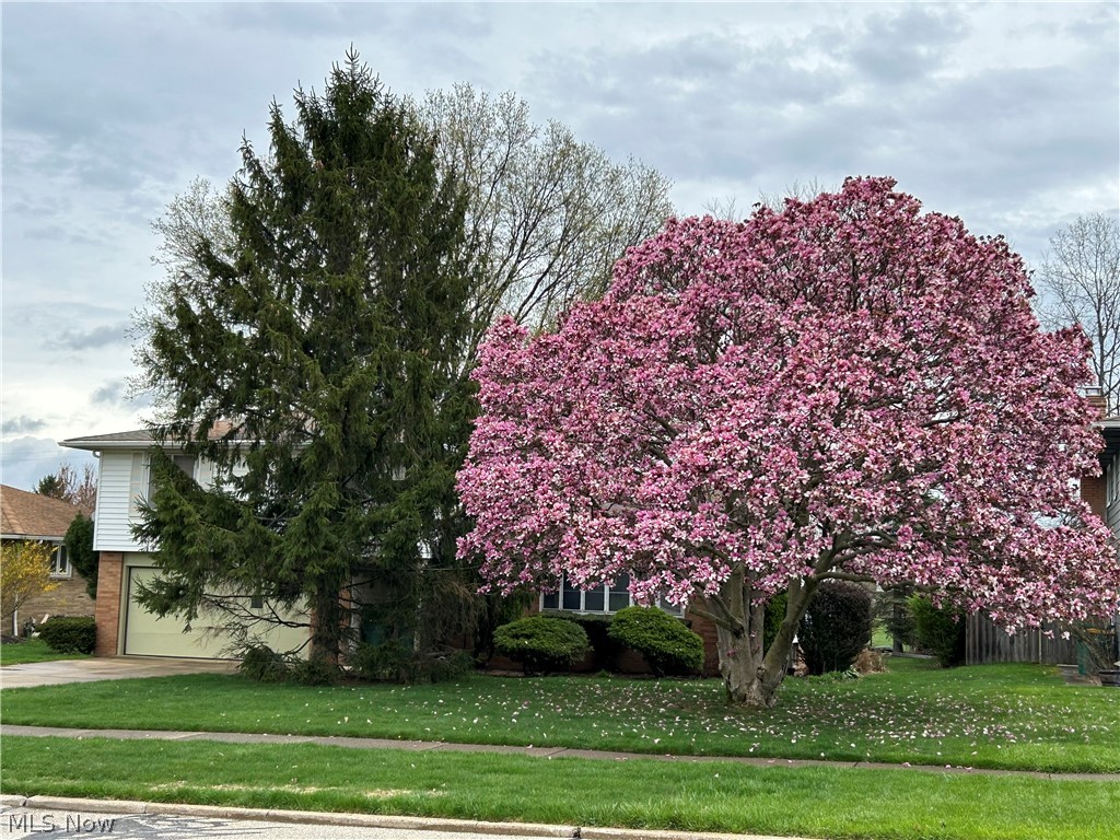 5715 Skyline Drive Property Photo 4