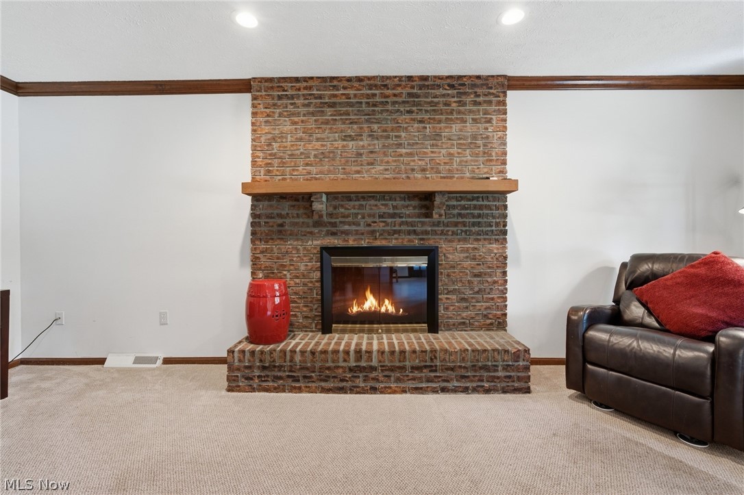 3374 Kings Mill Run Property Photo 22