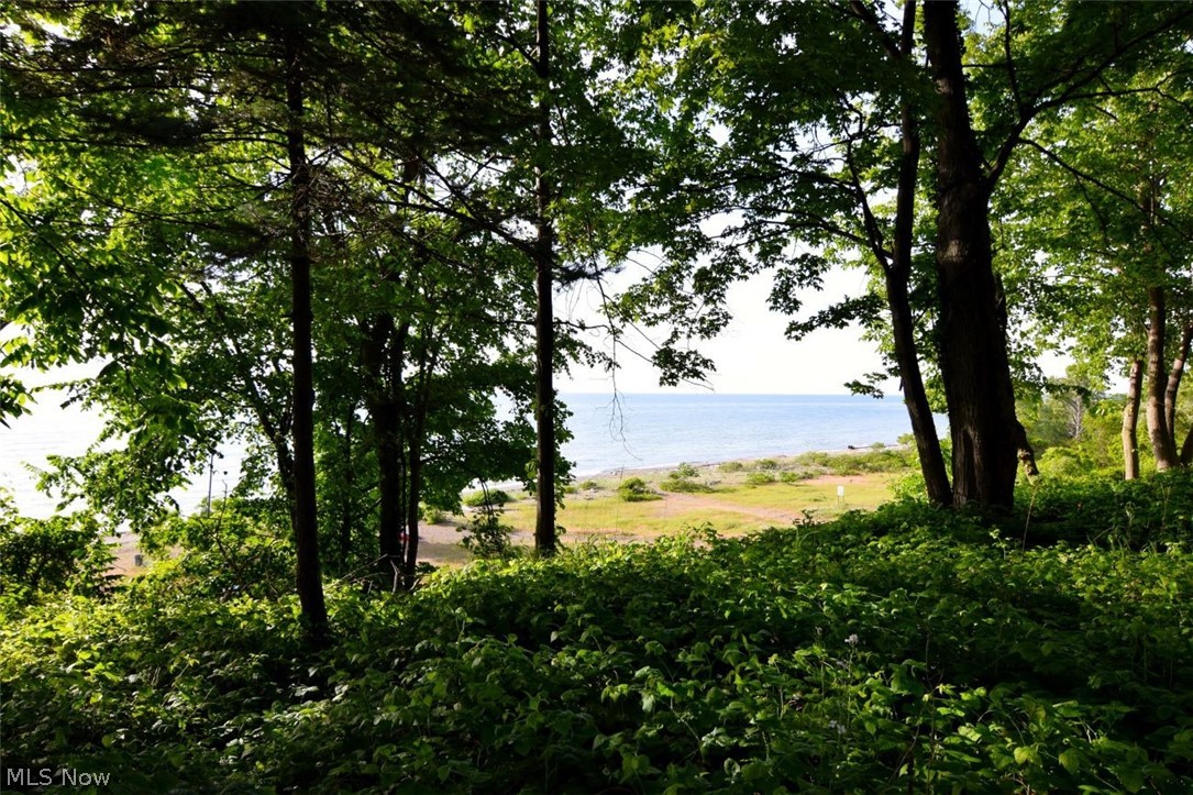 5249432 Property Photo 39